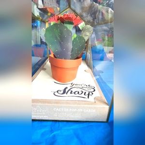 Cactus pop-up cards